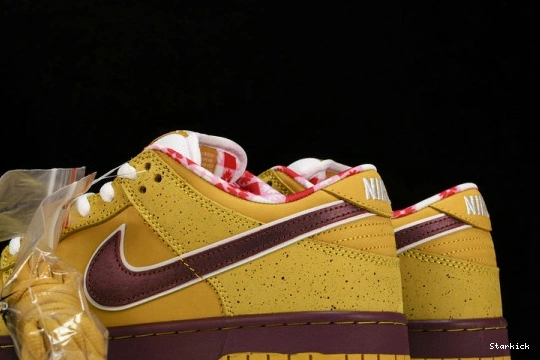  SB Dunk Yellow Lobster 313170-137566 Nike Low 0331
